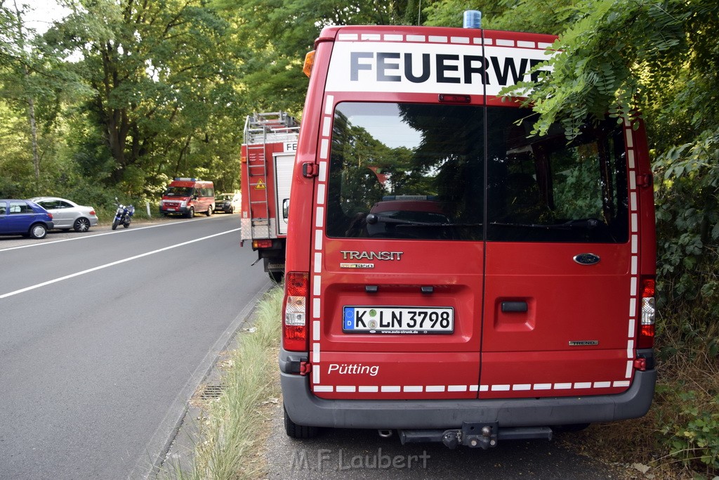 Waldbrand Koeln Hoehenhaus Hoehenfelder Mauspfad P210.JPG - Miklos Laubert